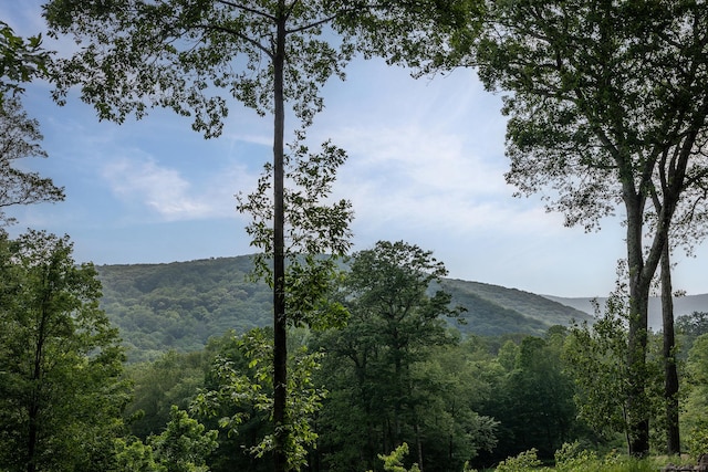 178 Carter Rd, Kent, CT 06754 - view of mountain backdrop featuring a heavily wooded area