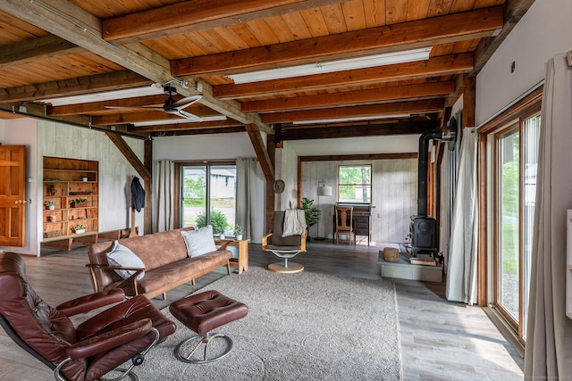 178 Carter Rd, Kent, CT 06754 - living room featuring a wood stove, plenty of natural light, light wood-type flooring, and beam ceiling