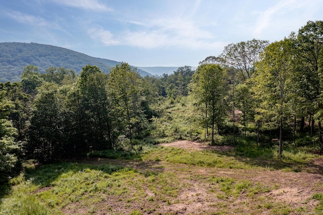 178 Carter Rd, Kent, CT 06754 - view of mountain backdrop with a heavily wooded area