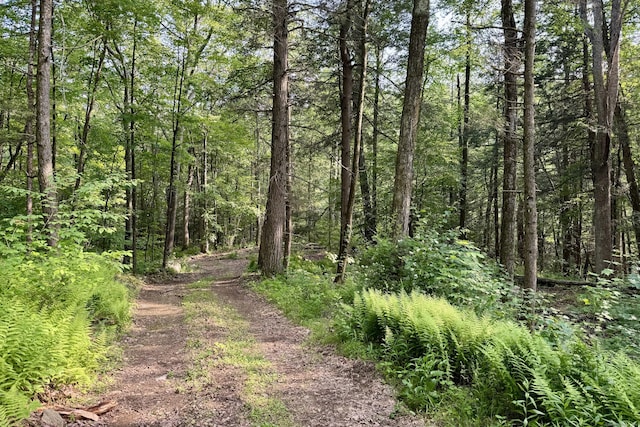 178 Carter Rd, Kent, CT 06754 - view of woods