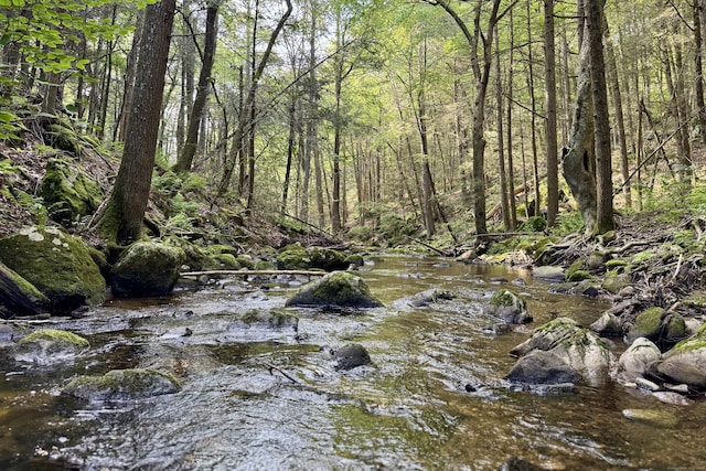 178 Carter Rd, Kent, CT 06754 - view of wooded area