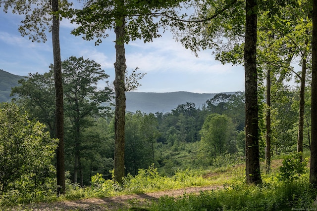 178 Carter Rd, Kent, CT 06754 - view of mountain background with a forest