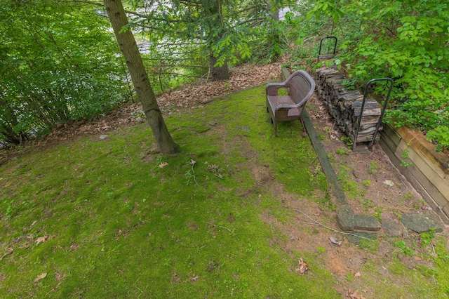 11 Wood Duck Ln Unit 11, Simsbury, CT 06081 - view of yard