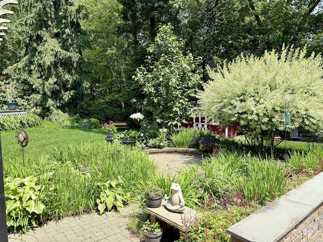 81 Jan Rd, Bristol, CT 06010 - view of yard