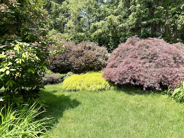 81 Jan Rd, Bristol, CT 06010 - view of yard