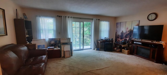 75 Hunter Ct Unit 75, Torrington, CT 06790 - view of carpeted living area