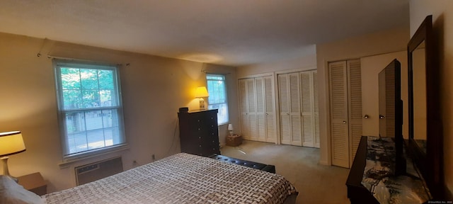 75 Hunter Ct Unit 75, Torrington, CT 06790 - carpeted bedroom with multiple closets and multiple windows