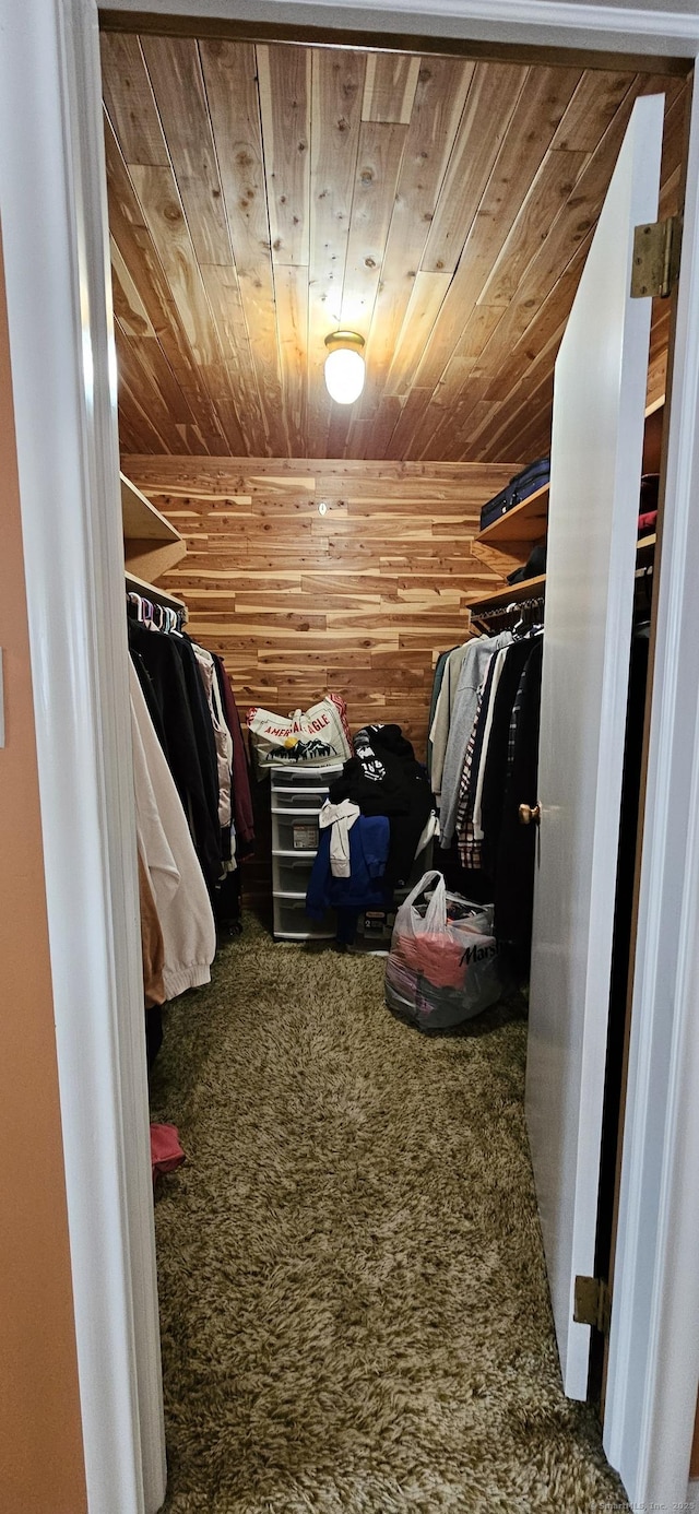 258 Eddy Glover Blvd, New Britain, CT 06053 - walk in closet with carpet flooring