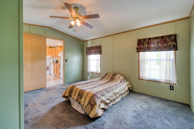 60 Lions Way, Windham, CT 06256 - bedroom featuring carpet, lofted ceiling, a ceiling fan, and crown molding