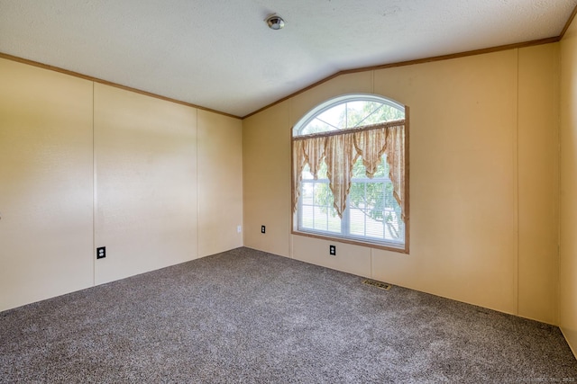 60 Lions Way, Windham, CT 06256 - spare room with carpet flooring, lofted ceiling, and crown molding