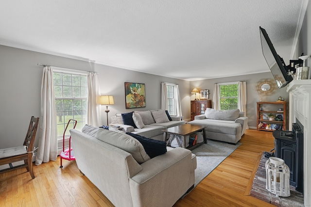 65 Nassahegan Dr, Burlington, CT 06013 - living area featuring ornamental molding, light wood finished floors, a textured ceiling, and a fireplace