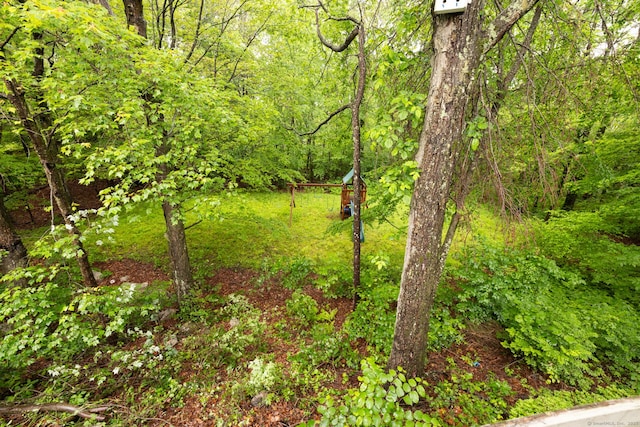65 Nassahegan Dr, Burlington, CT 06013 - view of tree filled area