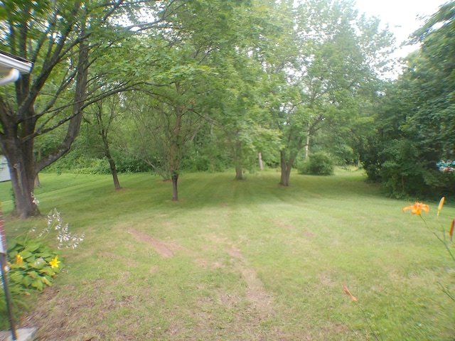 152 Old Mill Rd, Middletown, CT 06457 - view of green lawn