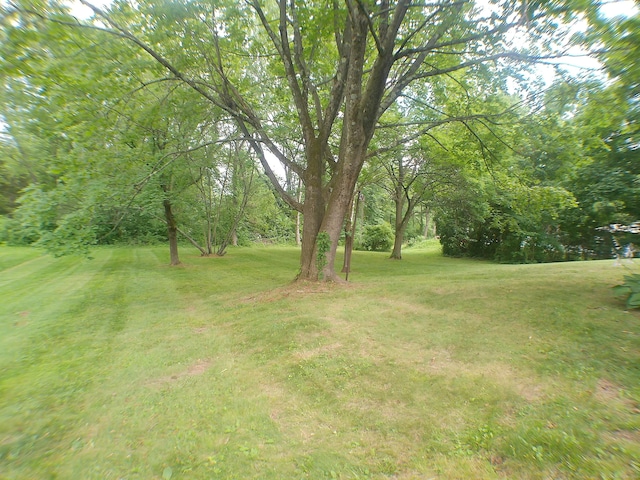 152 Old Mill Rd, Middletown, CT 06457 - view of green lawn
