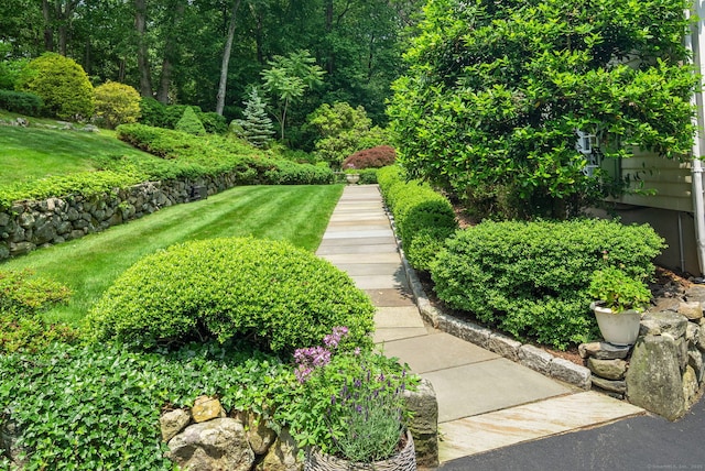 37 Woodridge Cir, New Canaan, CT 06840 - view of grassy yard