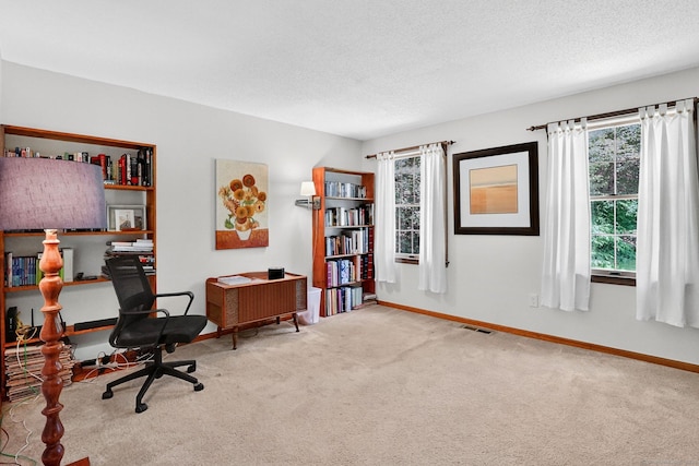 175 Wrights Brook Dr, Somers, CT 06071 - office area featuring carpet and a textured ceiling