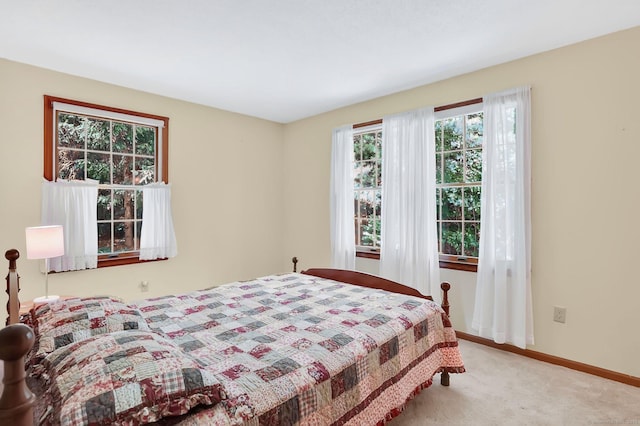 175 Wrights Brook Dr, Somers, CT 06071 - bedroom featuring multiple windows and carpet