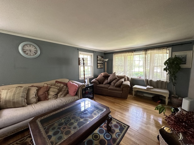 55 Kenwood Cir, Bloomfield, CT 06002 - living room featuring crown molding and wood finished floors