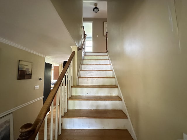 55 Kenwood Cir, Bloomfield, CT 06002 - staircase featuring crown molding