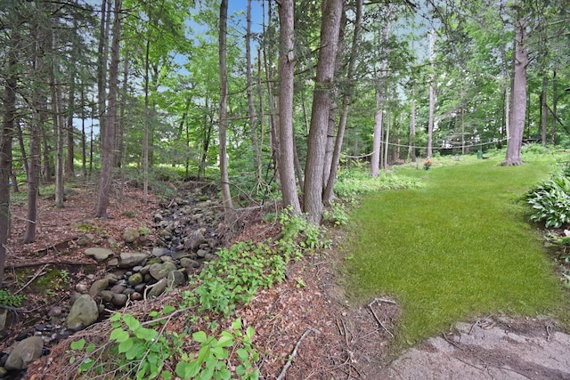 100 Ridgebrook Rd, Torrington, CT 06790 - view of yard