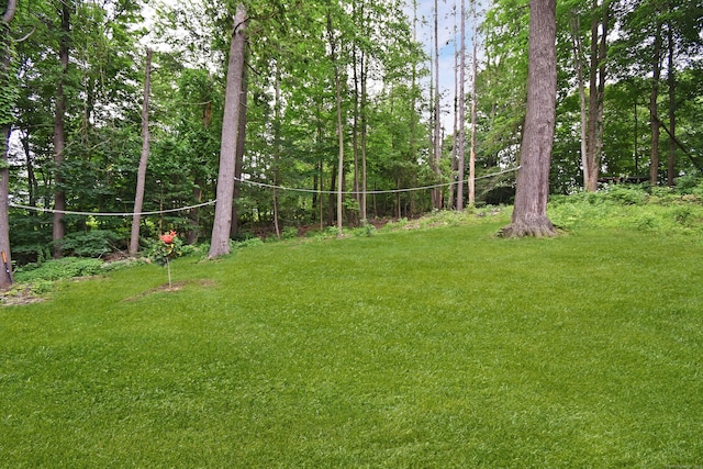 100 Ridgebrook Rd, Torrington, CT 06790 - view of green lawn