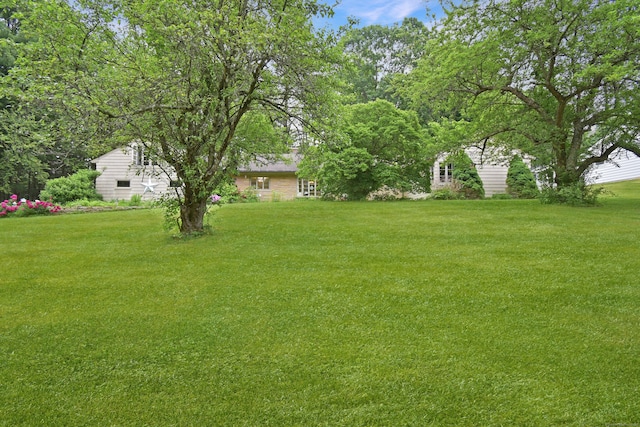 100 Ridgebrook Rd, Torrington, CT 06790 - view of green lawn