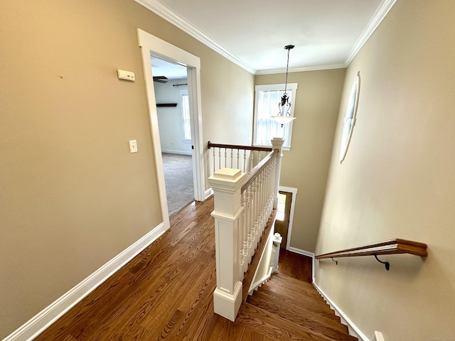 57 Church St, Shelton, CT 06484 - stairway with wood finished floors and crown molding