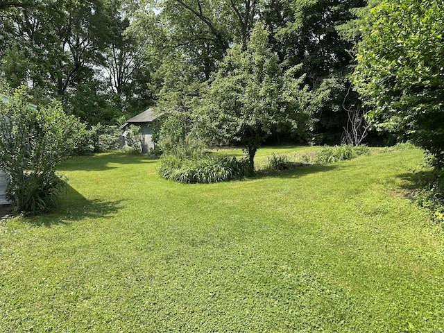 846 Sawmill Rd, West Haven, CT 06516 - view of green lawn