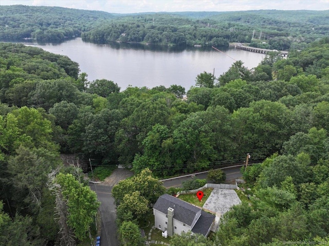 3 Brookside Trl, Monroe, CT 06468 - drone / aerial view of a forest and a large body of water