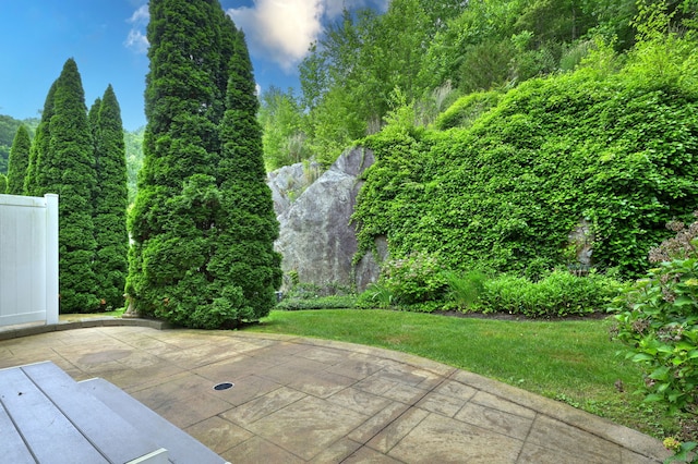 665 River Rd Unit 2, Shelton, CT 06484 - photo 36