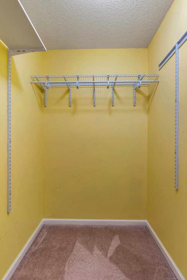 46 Dewey St, Middletown, CT 06457 - spacious closet with carpet flooring