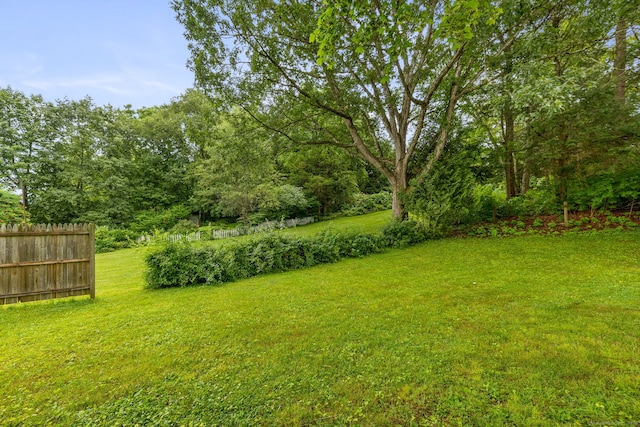 57 Walnut St, Torrington, CT 06790 - photo 7
