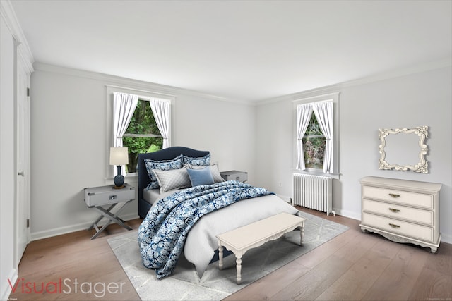 37 Cedar Crest Pl, Norwalk, CT 06854 - bedroom with radiator, multiple windows, ornamental molding, and wood finished floors