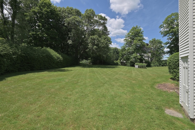 563 Main St, Ridgefield, CT 06877 - view of green lawn