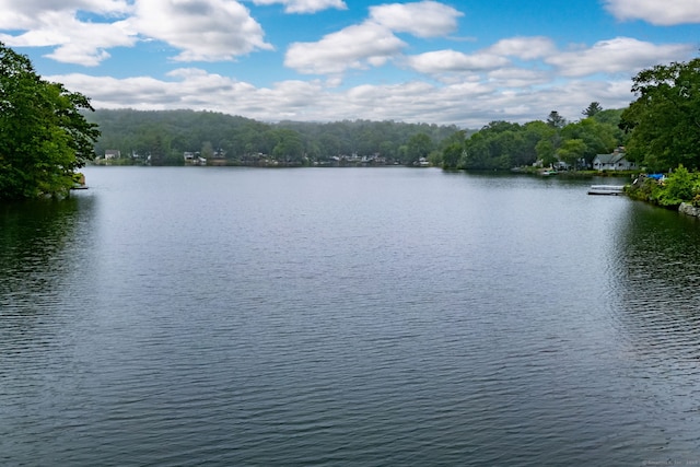 40 Deerfield Dr, Ashford, CT 06278 - photo 39