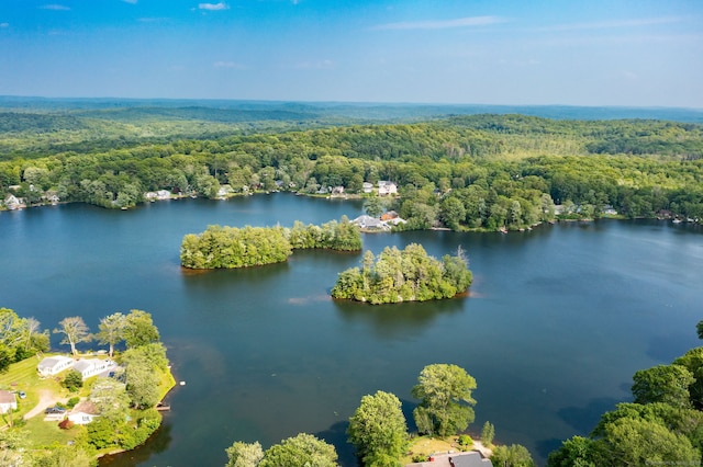 40 Deerfield Dr, Ashford, CT 06278 - photo 2
