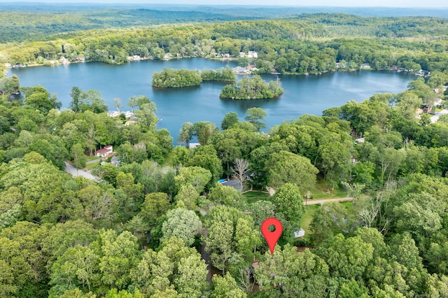 40 Deerfield Dr, Ashford, CT 06278 - photo 3