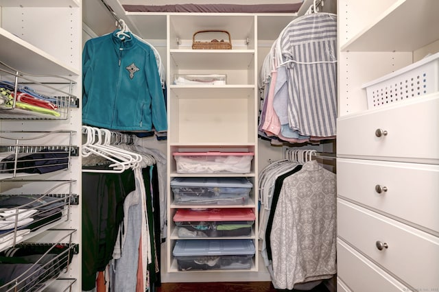 510 First Ave Unit 306, West Haven, CT 06516 - view of walk in closet