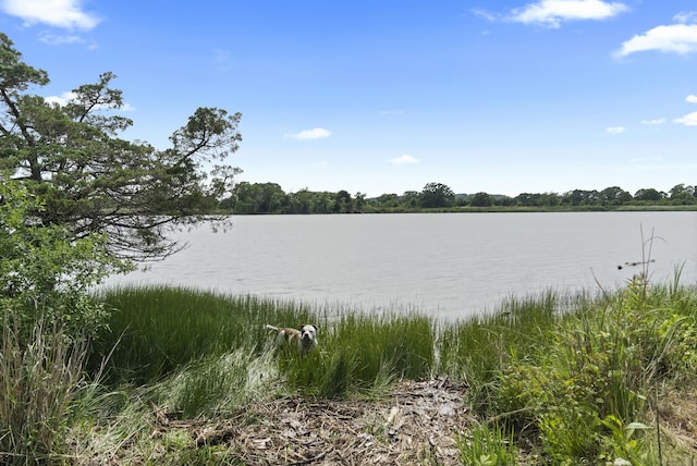 0 Ely Mdws, Lyme, CT 06371