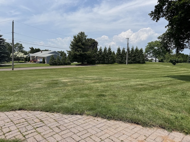 20 Celestial Ln, Wallingford, CT 06492 - view of grassy yard