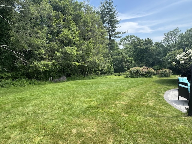 20 Celestial Ln, Wallingford, CT 06492 - view of green lawn featuring a patio and a view of trees