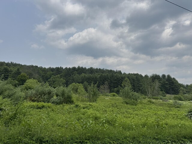 82 Riverton Rd, Colebrook, CT 06021 - photo 3