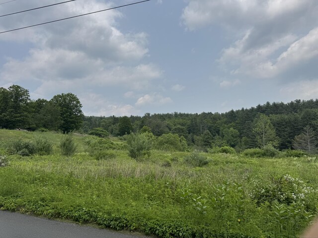82 Riverton Rd, Colebrook, CT 06021 - photo 5