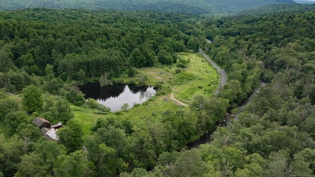 82 Riverton Rd, Colebrook, CT 06021 - photo 7