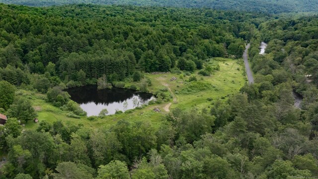 82 Riverton Rd, Colebrook, CT 06021 - photo 8