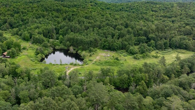 82 Riverton Rd, Colebrook, CT 06021 - photo 9