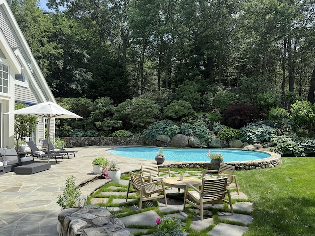 21 Oak Ridge Park, Westport, CT 06880 - outdoor pool featuring a patio