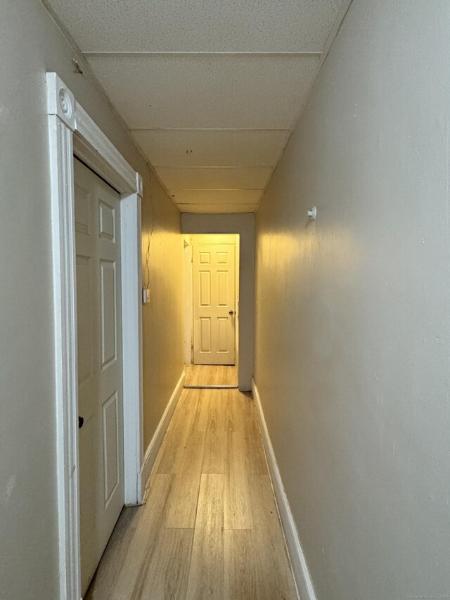 203 S Leonard St, Waterbury, CT 06708 - hall with light wood-style flooring, baseboards, and a paneled ceiling