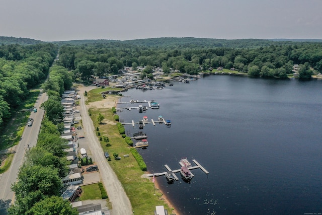 262 Shetucket Tpke Unit 2, Griswold, CT 06351 - bird's eye view of a heavily wooded area and a large body of water