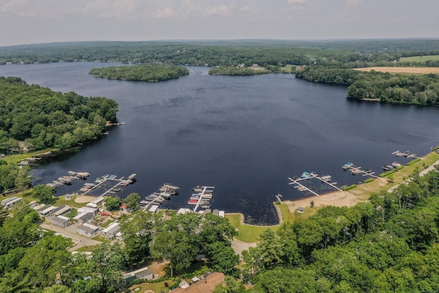 262 Shetucket Tpke Unit 2, Griswold, CT 06351 - aerial view of a nearby body of water and numerous boat docks